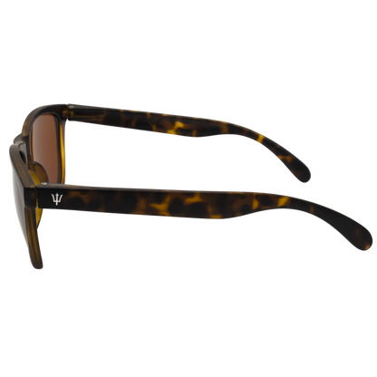 Lentes de sol TRITON Color Havana