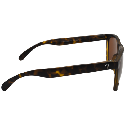 Lentes de sol TRITON Color Havana